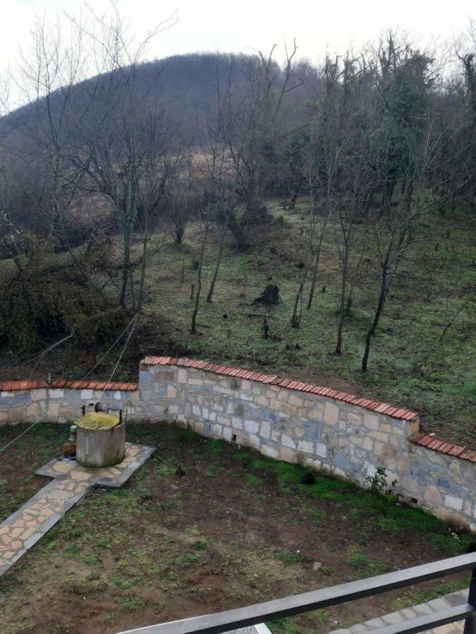 Гостевой дом Godogani Экстерьер фото