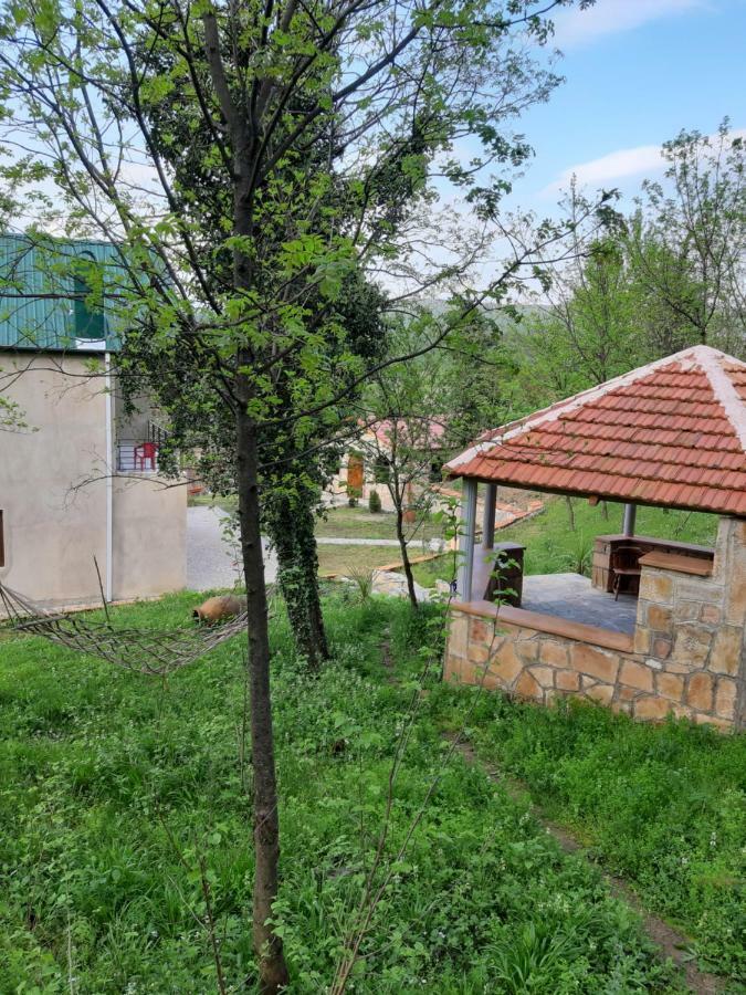 Гостевой дом Godogani Экстерьер фото